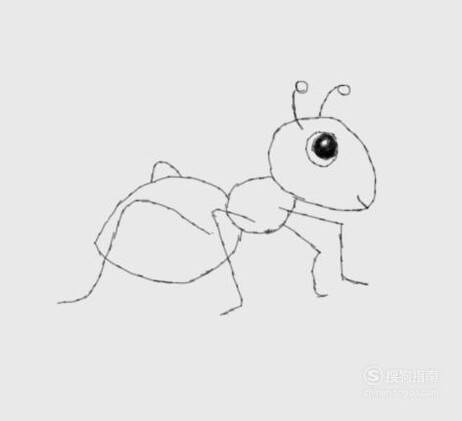教你画超级简单的蚂蚁