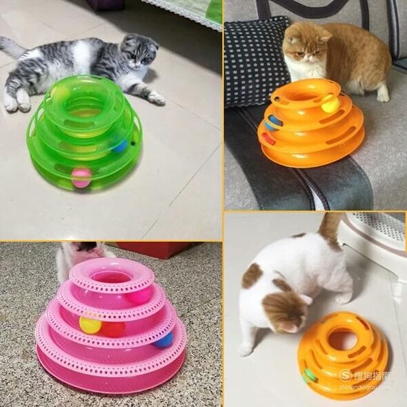 猫咪喜欢的玩具有哪些
