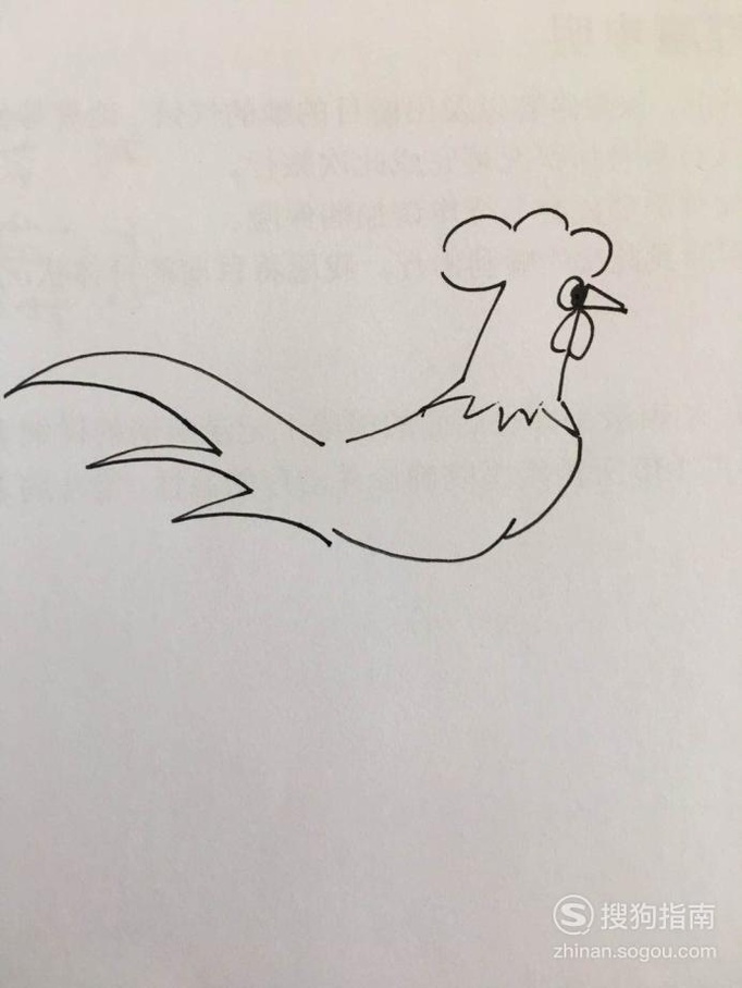 如何画简笔公鸡